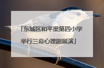 东城区和平里第四小学举行三幕心理剧展演