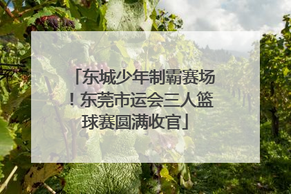 东城少年制霸赛场！东莞市运会三人篮球赛圆满收官