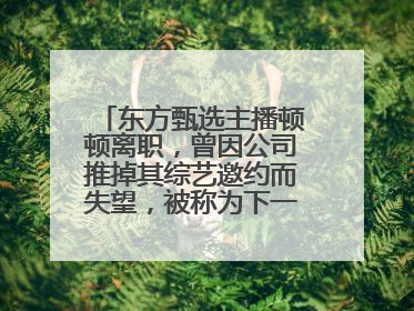 东方甄选主播顿顿离职，曾因公司推掉其综艺邀约而失望，被称为下一个董宇辉
