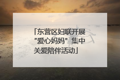 东营区妇联开展“爱心妈妈”集中关爱陪伴活动