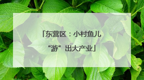 东营区：小村鱼儿“游”出大产业