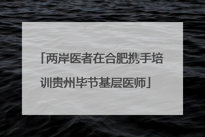 两岸医者在合肥携手培训贵州毕节基层医师