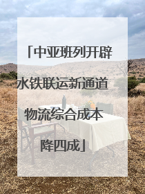 中亚班列开辟水铁联运新通道 物流综合成本降四成