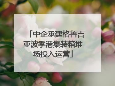 中企承建格鲁吉亚波季港集装箱堆场投入运营