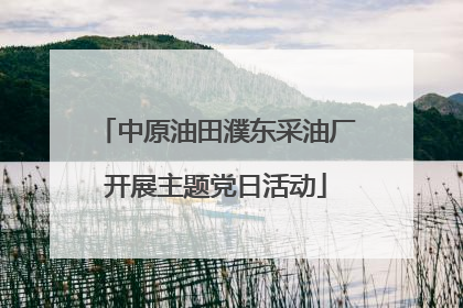 中原油田濮东采油厂开展主题党日活动