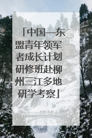 中国—东盟青年领军者成长计划研修班赴柳州三江多地研学考察