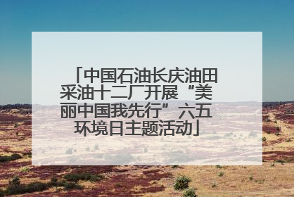 中国石油长庆油田采油十二厂开展“美丽中国我先行”六五环境日主题活动