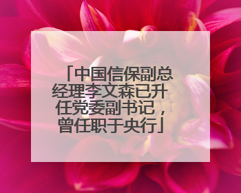 中国信保副总经理李文森已升任党委副书记，曾任职于央行