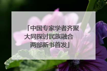 中国专家学者齐聚大同探讨民族融合 两部新书首发