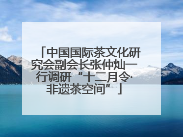 中国国际茶文化研究会副会长张仲灿一行调研“十二月令·非遗茶空间”