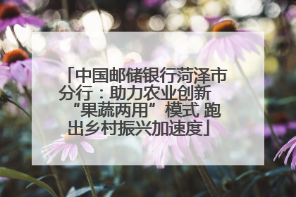 中国邮储银行菏泽市分行：助力农业创新 “果蔬两用”模式 跑出乡村振兴加速度