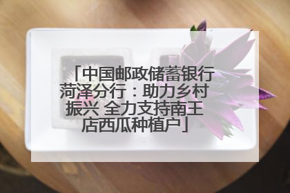 中国邮政储蓄银行菏泽分行：助力乡村振兴 全力支持南王店西瓜种植户