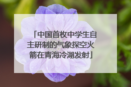 中国首枚中学生自主研制的气象探空火箭在青海冷湖发射
