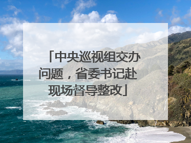 中央巡视组交办问题，省委书记赴现场督导整改
