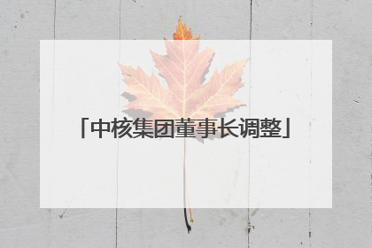 中核集团董事长调整