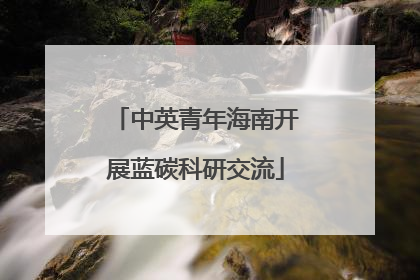 中英青年海南开展蓝碳科研交流