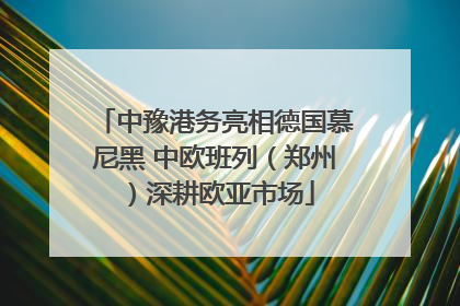 中豫港务亮相德国慕尼黑 中欧班列（郑州）深耕欧亚市场