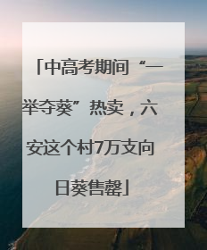 中高考期间“一举夺葵”热卖，六安这个村7万支向日葵售罄