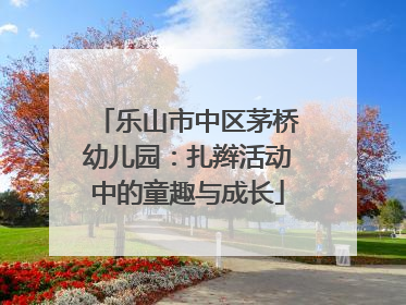 乐山市中区茅桥幼儿园：扎辫活动中的童趣与成长