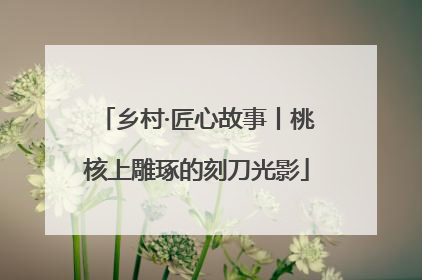 乡村·匠心故事丨桃核上雕琢的刻刀光影