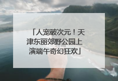 人宠破次元！天津东丽郊野公园上演端午奇幻狂欢