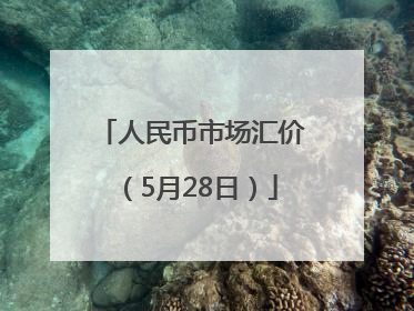 人民币市场汇价（5月28日）