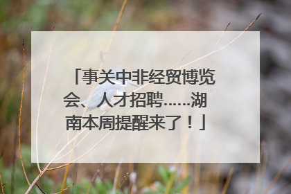 事关中非经贸博览会、人才招聘……湖南本周提醒来了！