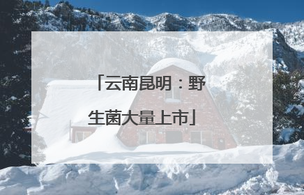 云南昆明：野生菌大量上市