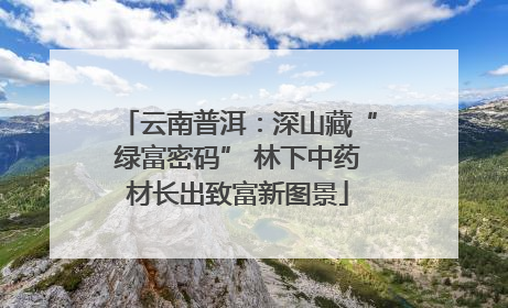 云南普洱：深山藏“绿富密码” 林下中药材长出致富新图景