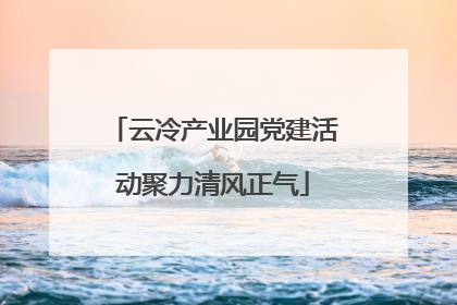 云冷产业园党建活动聚力清风正气