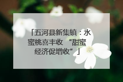 五河县新集镇：水蜜桃喜丰收 “甜蜜经济促增收”