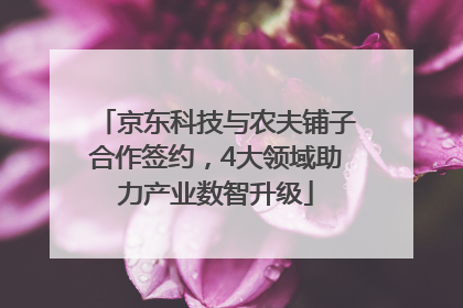 京东科技与农夫铺子合作签约，4大领域助力产业数智升级