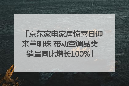京东家电家居惊喜日迎来董明珠 带动空调品类销量同比增长100%
