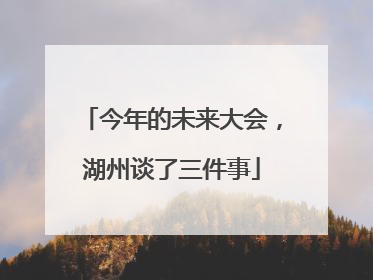 今年的未来大会，湖州谈了三件事