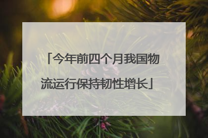 今年前四个月我国物流运行保持韧性增长
