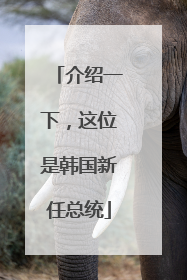 介绍一下，这位是韩国新任总统