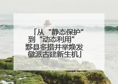 从“静态保护”到“动态利用” 黟县多措并举焕发徽派古建新生机