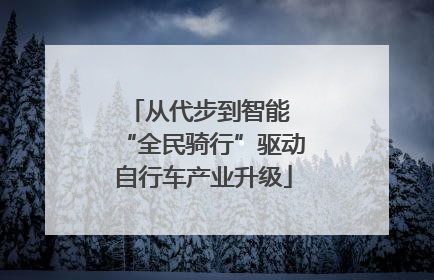 从代步到智能 “全民骑行”驱动自行车产业升级