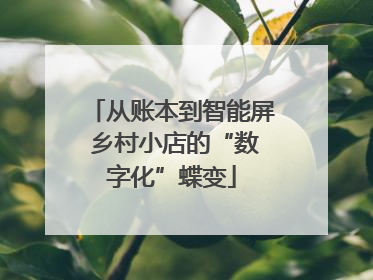 从账本到智能屏 乡村小店的“数字化”蝶变