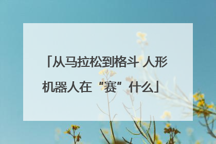 从马拉松到格斗 人形机器人在“赛”什么