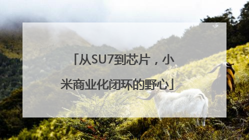 从SU7到芯片，小米商业化闭环的野心