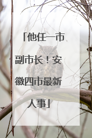 他任一市副市长！安徽四市最新人事