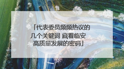 代表委员频频热议的几个关键词 藏着临安高质量发展的密码