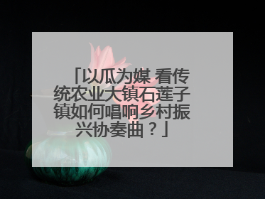 以瓜为媒 看传统农业大镇石莲子镇如何唱响乡村振兴协奏曲？