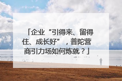 企业“引得来、留得住、成长好”，普陀营商引力场如何炼就？