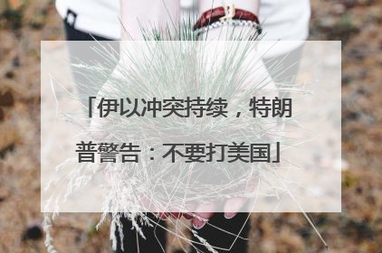 伊以冲突持续，特朗普警告：不要打美国