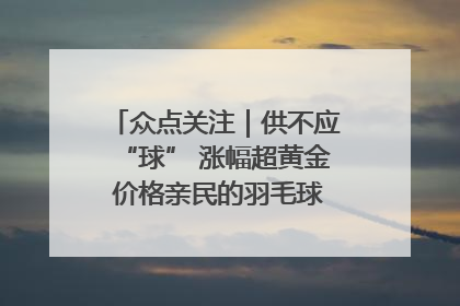 众点关注｜供不应“球” 涨幅超黄金 价格亲民的羽毛球为何身价飞涨？