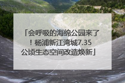 会呼吸的海绵公园来了！杨浦新江湾城7.35公顷生态空间改造焕新