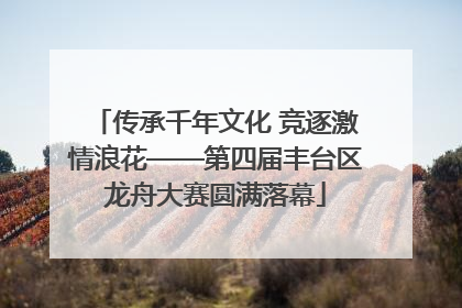 传承千年文化 竞逐激情浪花——第四届丰台区龙舟大赛圆满落幕