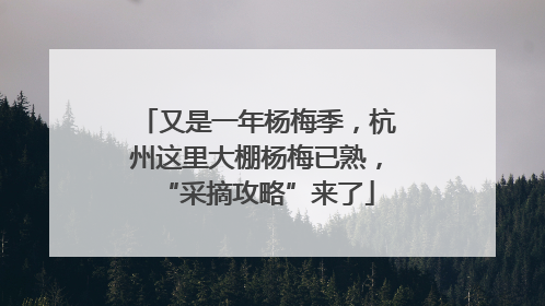 又是一年杨梅季，杭州这里大棚杨梅已熟，“采摘攻略”来了
